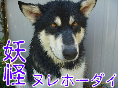 ヌレホーダイ1.jpg