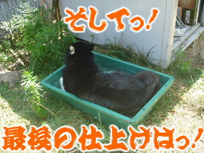 ヌレホーダイ9.jpg