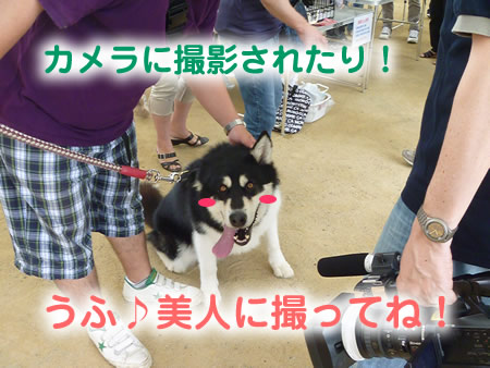 ビックスワン01.jpg