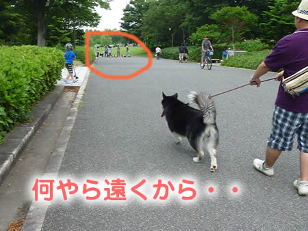 ビックスワン02.jpg