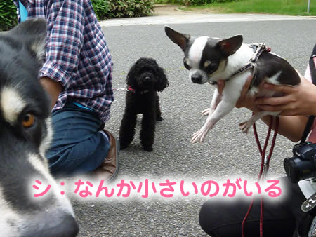 ビックスワン01.jpg