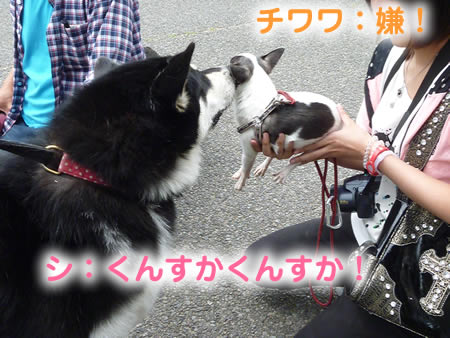 ビックスワン06.jpg