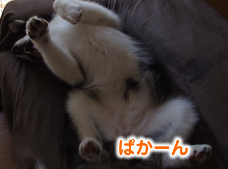 ブログ再開02.jpg