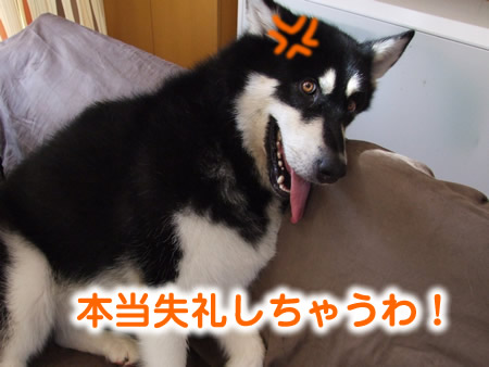 ブログ再開04.jpg