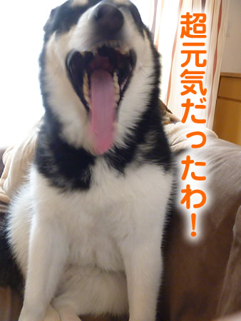 ブログ放置03.jpg