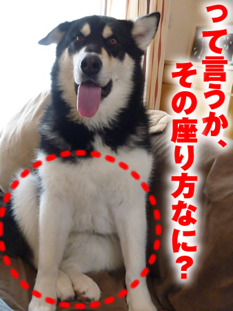 ブログ放置04.jpg