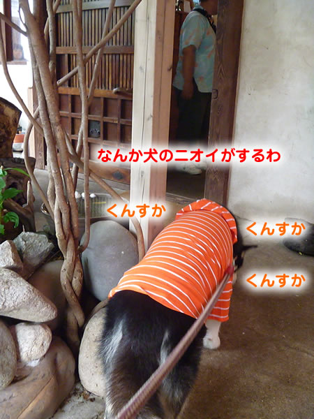 三鬼遊01.jpg