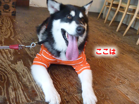 三鬼遊02.jpg