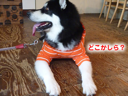 三鬼遊04.jpg