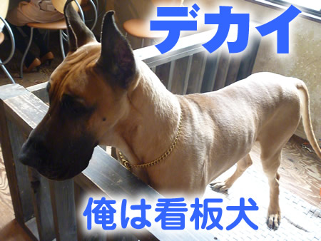 三鬼遊05.jpg