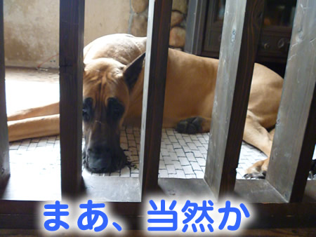三鬼遊07.jpg