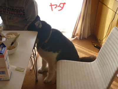 動物病院02.jpg
