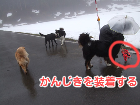 国安201222.jpg