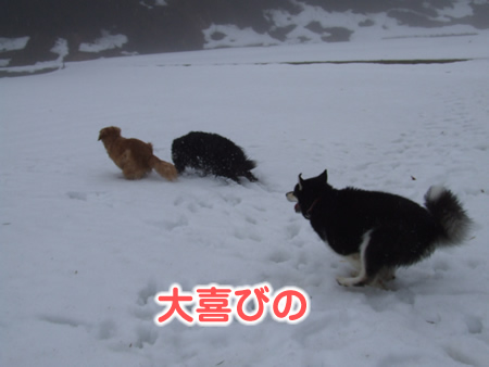 国安201225.jpg