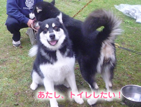 宿10.jpg