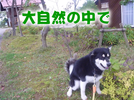 宿11.jpg