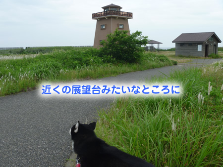 展望台01.jpg