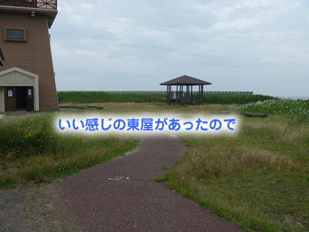 展望台02.jpg