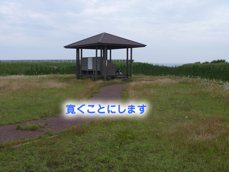 展望台03.jpg