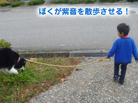 散歩01.jpg