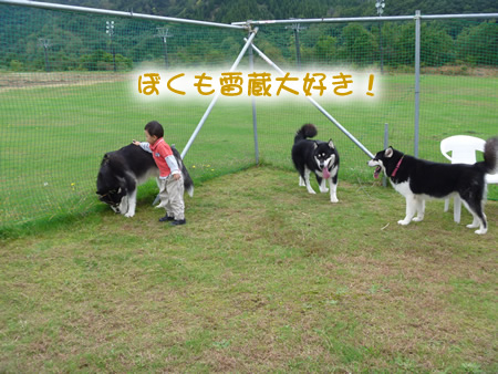 散歩05.jpg