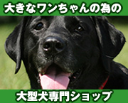 大型犬専門ショップ.jpg