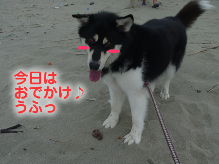 海.jpg