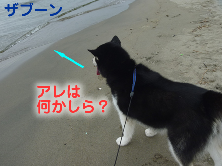 海04.jpg