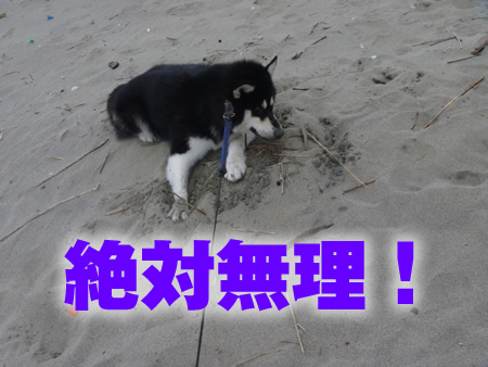 海06.jpg