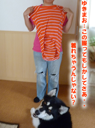 犬服を着る01.jpg
