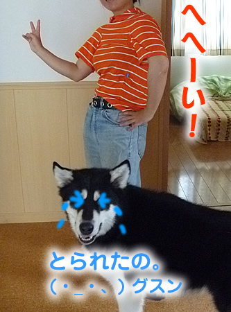犬服を着る04.jpg