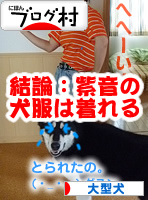 犬服を着る05.jpg