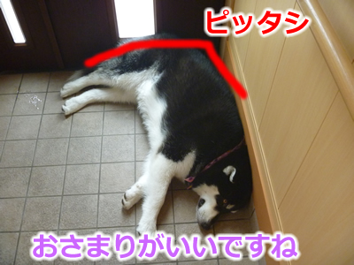 玄関04.jpg