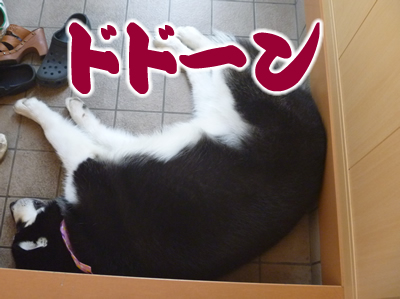 玄関06.jpg