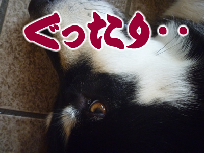 玄関07.jpg