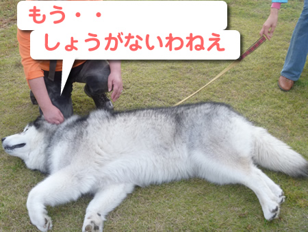 祭パカーン05.jpg