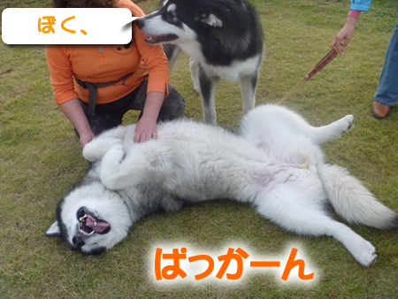 祭パカーン07.jpg