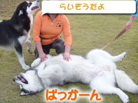 祭パカーン08.jpg