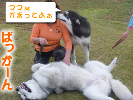 祭パカーン09.jpg