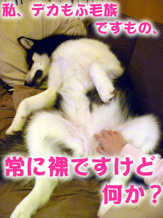 裸01.jpg