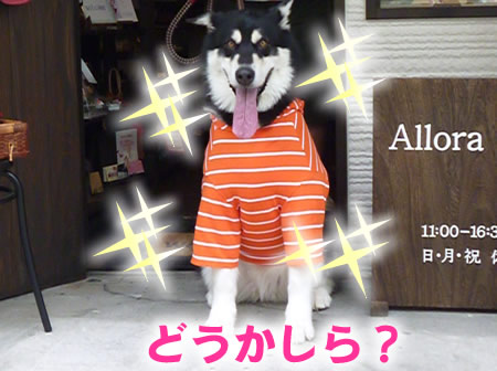 裸02.jpg