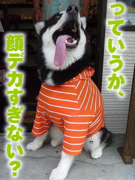 裸07.jpg