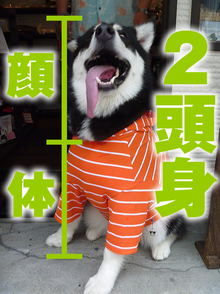 裸08.jpg