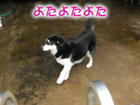見に行く01.jpg