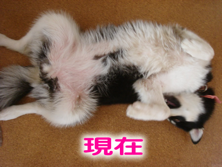 見に行く10.jpg