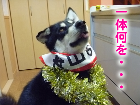 誕生日1.jpg