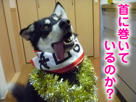 誕生日2.jpg