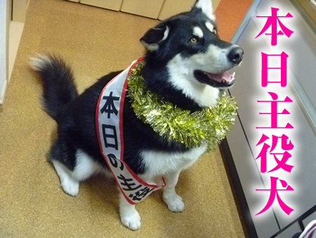 誕生日4.jpg