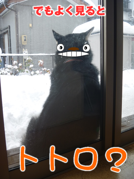 遠くを03.jpg