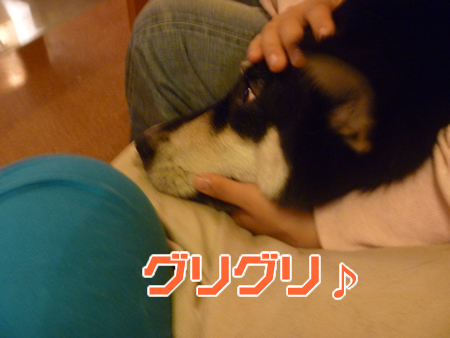酔う02.jpg